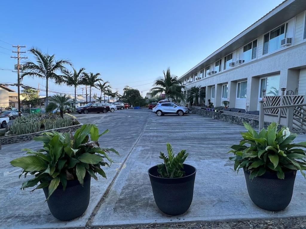 Unit 19 Maui Ohana Modern Studio Wailuku Exterior photo