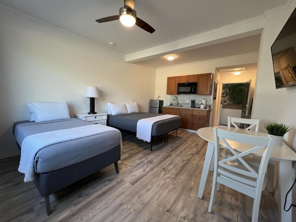 Unit 19 Maui Ohana Modern Studio Wailuku Exterior photo