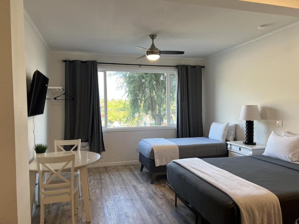 Unit 19 Maui Ohana Modern Studio Wailuku Exterior photo